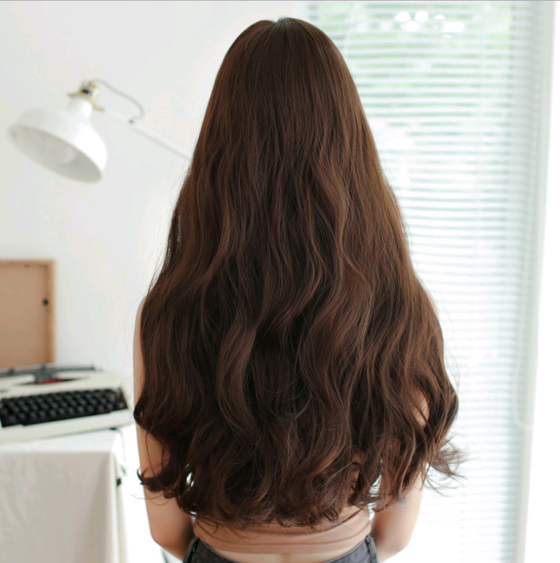 Fashionable Long Wavy Middle Part Wig for Women