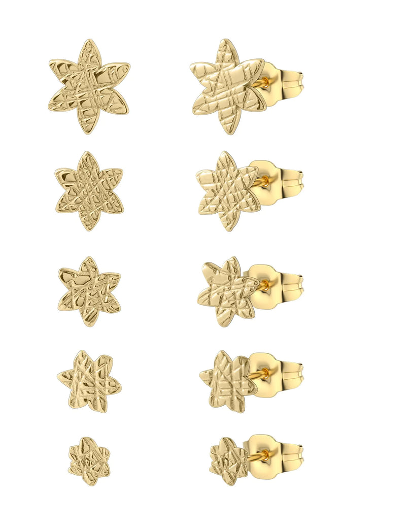 5 Pairs Ladies Earrings 316L Hypoallergenic Gold Plated Stud Earrings Stainless Steel Six Leaf Flower Earrings Valentines Day Christmas Day Mothers Day…