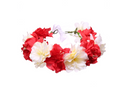 Headband, Hair Accessory, Flower Crown